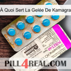 À Quoi Sert La Gelée De Kamagra new07